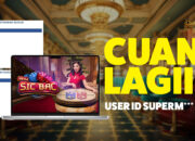 Strategi Jitu Bawa Pulang 80 Juta dari Mega Sic Bac Live di INDOKASINO!