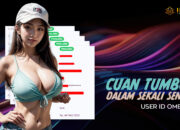 Kemenangan Spektakuler! Member INDOKASINO ID OMBUR*** Raih Jackpot 250 Juta di Starlight Princess Pragmatic Play