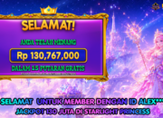 Member INDOKASINO Menang 130 Juta di Starlight Princess